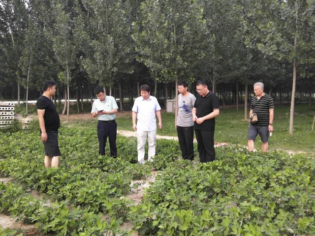 点击查看原图